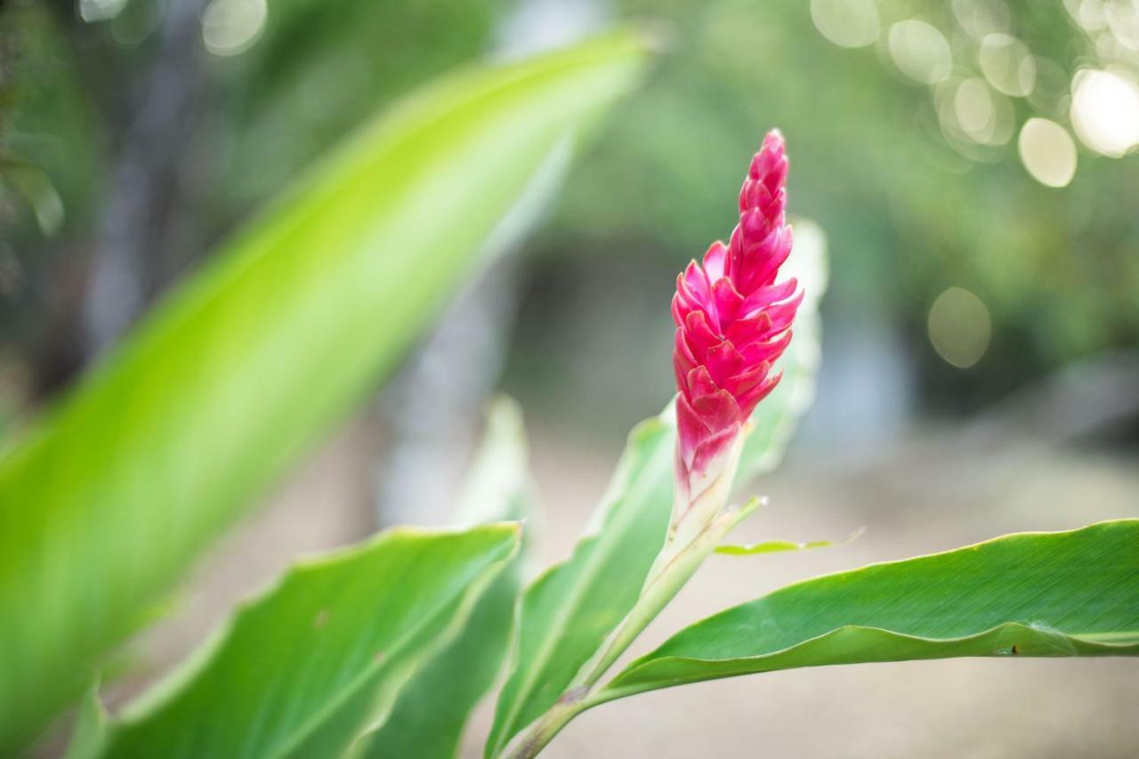 Hotel Santa Catalina Panama エクステリア 写真